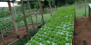 Unveil 8a21a6f614db065bb1ca2c21a5c803aede783f93e5277febbd47f37d9dbae4ca