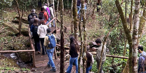 Unveil 8a21a6f614db065bb1ca2c21a5c803aede783f93e5277febbd47f37d9dbae4ca