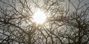 Unveil 8a21a6f614db065bb1ca2c21a5c803aede783f93e5277febbd47f37d9dbae4ca