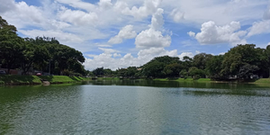 Unveil 8a21a6f614db065bb1ca2c21a5c803aede783f93e5277febbd47f37d9dbae4ca