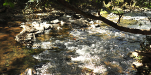 Unveil 8a21a6f614db065bb1ca2c21a5c803aede783f93e5277febbd47f37d9dbae4ca