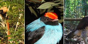 Unveil 8a21a6f614db065bb1ca2c21a5c803aede783f93e5277febbd47f37d9dbae4ca