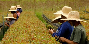 Unveil 8a21a6f614db065bb1ca2c21a5c803aede783f93e5277febbd47f37d9dbae4ca