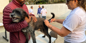 Unveil 8a21a6f614db065bb1ca2c21a5c803aede783f93e5277febbd47f37d9dbae4ca