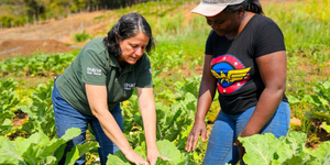 Unveil 8a21a6f614db065bb1ca2c21a5c803aede783f93e5277febbd47f37d9dbae4ca