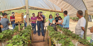 Unveil 8a21a6f614db065bb1ca2c21a5c803aede783f93e5277febbd47f37d9dbae4ca