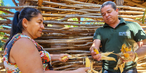 Unveil 8a21a6f614db065bb1ca2c21a5c803aede783f93e5277febbd47f37d9dbae4ca