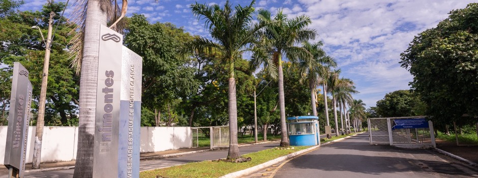 imagem de destaque