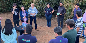 Unveil 8a21a6f614db065bb1ca2c21a5c803aede783f93e5277febbd47f37d9dbae4ca