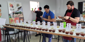 Unveil 8a21a6f614db065bb1ca2c21a5c803aede783f93e5277febbd47f37d9dbae4ca