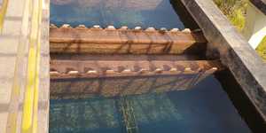 Unveil 8a21a6f614db065bb1ca2c21a5c803aede783f93e5277febbd47f37d9dbae4ca