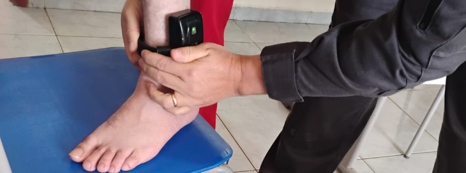 imagem de destaque