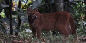 Unveil 8a21a6f614db065bb1ca2c21a5c803aede783f93e5277febbd47f37d9dbae4ca