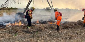 Unveil 8a21a6f614db065bb1ca2c21a5c803aede783f93e5277febbd47f37d9dbae4ca