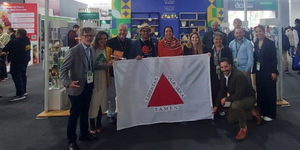 Unveil 8a21a6f614db065bb1ca2c21a5c803aede783f93e5277febbd47f37d9dbae4ca