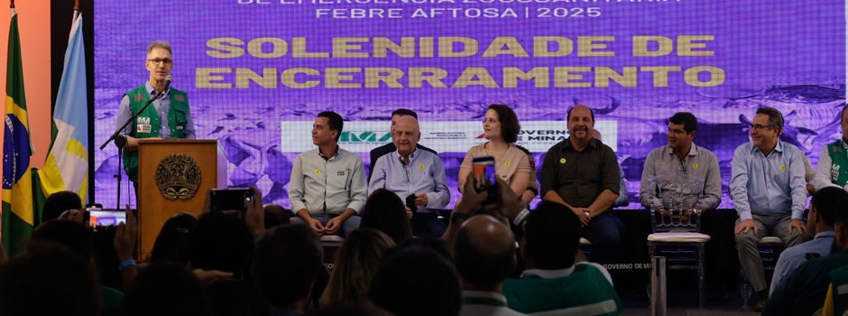 imagem de destaque
