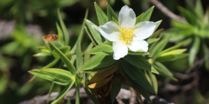 Unveil 8a21a6f614db065bb1ca2c21a5c803aede783f93e5277febbd47f37d9dbae4ca