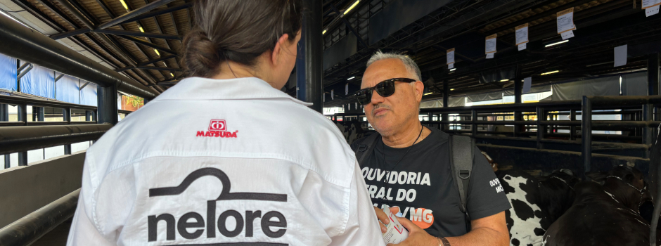 imagem de destaque