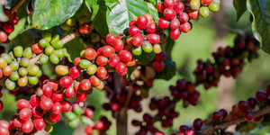 Unveil 8a21a6f614db065bb1ca2c21a5c803aede783f93e5277febbd47f37d9dbae4ca