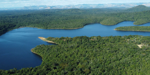 Unveil 8a21a6f614db065bb1ca2c21a5c803aede783f93e5277febbd47f37d9dbae4ca