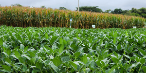 Unveil 8a21a6f614db065bb1ca2c21a5c803aede783f93e5277febbd47f37d9dbae4ca