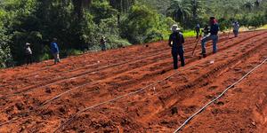 Unveil 8a21a6f614db065bb1ca2c21a5c803aede783f93e5277febbd47f37d9dbae4ca