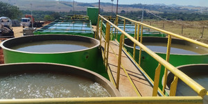 Unveil 8a21a6f614db065bb1ca2c21a5c803aede783f93e5277febbd47f37d9dbae4ca