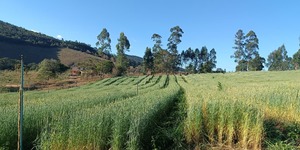 Unveil 8a21a6f614db065bb1ca2c21a5c803aede783f93e5277febbd47f37d9dbae4ca