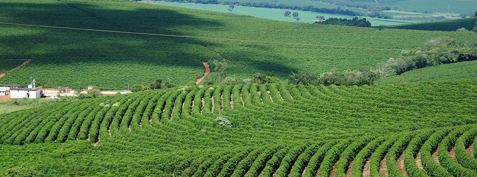 PIB de Minas Gerais alcança R$ 290,1 bilhões no terceiro trimestre e cresce 1,1% em relação ao mesmo período de 2024