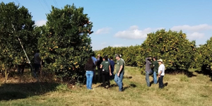 Unveil 8a21a6f614db065bb1ca2c21a5c803aede783f93e5277febbd47f37d9dbae4ca