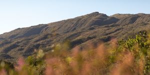 Unveil 8a21a6f614db065bb1ca2c21a5c803aede783f93e5277febbd47f37d9dbae4ca