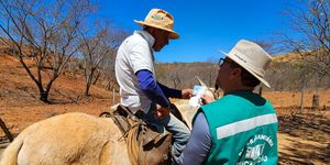 Unveil 8a21a6f614db065bb1ca2c21a5c803aede783f93e5277febbd47f37d9dbae4ca