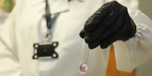 Unveil 8a21a6f614db065bb1ca2c21a5c803aede783f93e5277febbd47f37d9dbae4ca