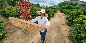 Unveil 8a21a6f614db065bb1ca2c21a5c803aede783f93e5277febbd47f37d9dbae4ca