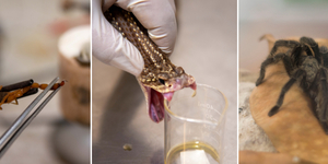 Unveil 8a21a6f614db065bb1ca2c21a5c803aede783f93e5277febbd47f37d9dbae4ca