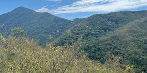 Unveil 8a21a6f614db065bb1ca2c21a5c803aede783f93e5277febbd47f37d9dbae4ca