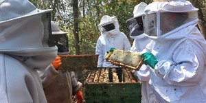 Unveil 8a21a6f614db065bb1ca2c21a5c803aede783f93e5277febbd47f37d9dbae4ca