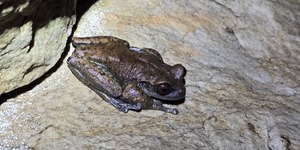 Unveil 8a21a6f614db065bb1ca2c21a5c803aede783f93e5277febbd47f37d9dbae4ca