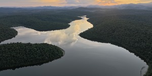 Unveil 8a21a6f614db065bb1ca2c21a5c803aede783f93e5277febbd47f37d9dbae4ca