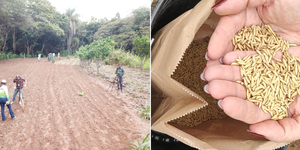 Unveil 8a21a6f614db065bb1ca2c21a5c803aede783f93e5277febbd47f37d9dbae4ca