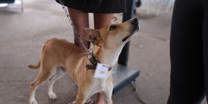 Unveil 8a21a6f614db065bb1ca2c21a5c803aede783f93e5277febbd47f37d9dbae4ca