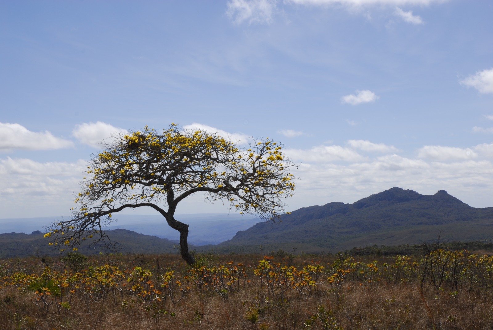 Agência Minas Gerais | Governo de Minas abre roadshow do projeto de concessão turística do Parque Estadual do Biribiri