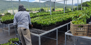 Unveil 8a21a6f614db065bb1ca2c21a5c803aede783f93e5277febbd47f37d9dbae4ca