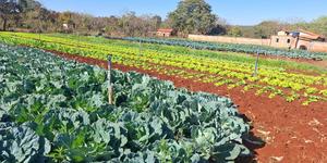 Unveil 8a21a6f614db065bb1ca2c21a5c803aede783f93e5277febbd47f37d9dbae4ca