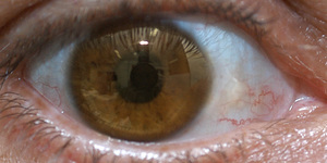 Unveil 8a21a6f614db065bb1ca2c21a5c803aede783f93e5277febbd47f37d9dbae4ca