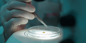 Unveil 8a21a6f614db065bb1ca2c21a5c803aede783f93e5277febbd47f37d9dbae4ca