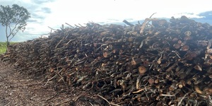 Unveil 8a21a6f614db065bb1ca2c21a5c803aede783f93e5277febbd47f37d9dbae4ca