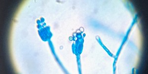 Unveil 8a21a6f614db065bb1ca2c21a5c803aede783f93e5277febbd47f37d9dbae4ca