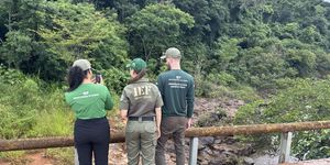 Unveil 8a21a6f614db065bb1ca2c21a5c803aede783f93e5277febbd47f37d9dbae4ca