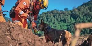 Unveil 8a21a6f614db065bb1ca2c21a5c803aede783f93e5277febbd47f37d9dbae4ca